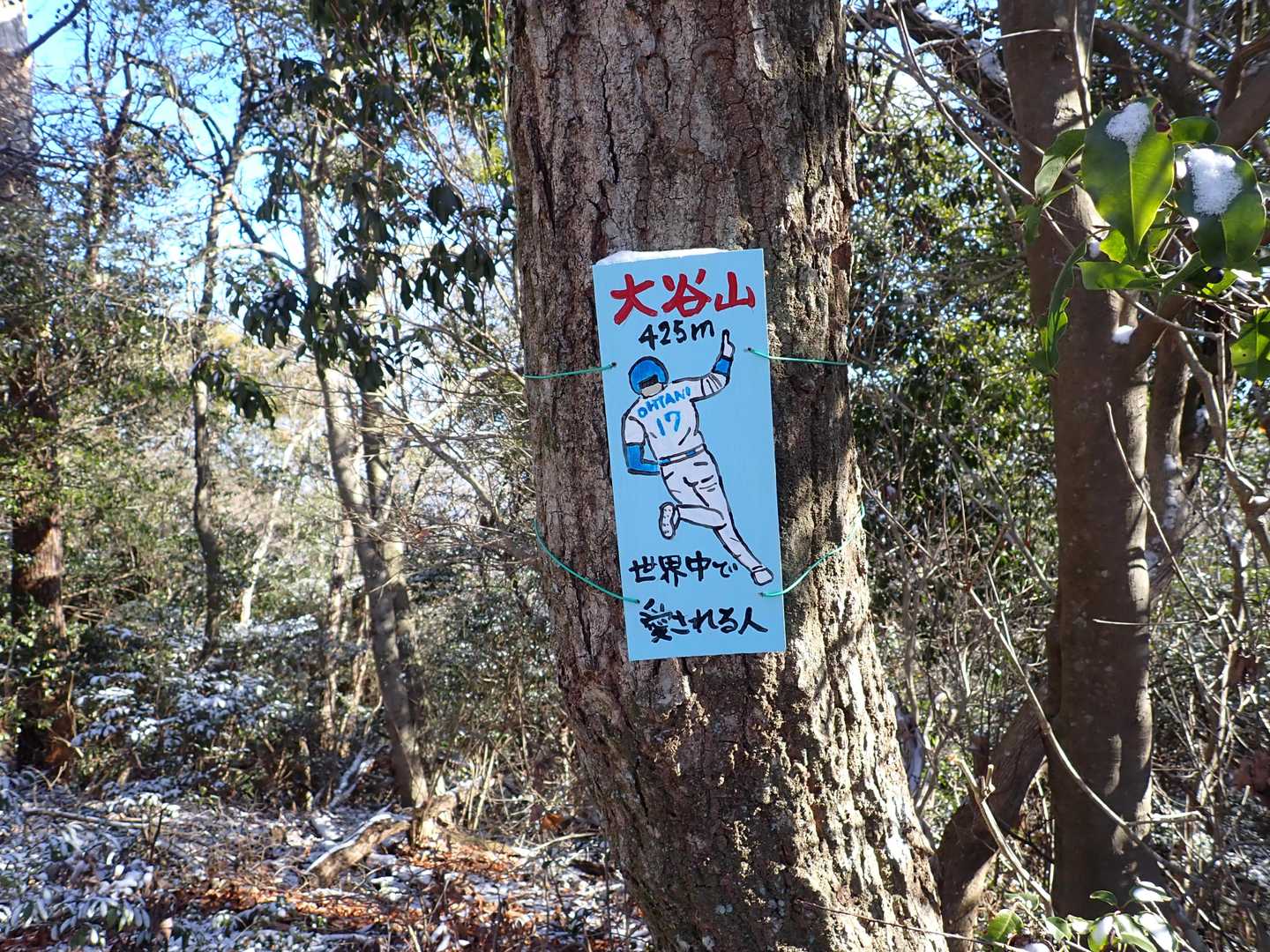 春日井市野外教育センター-道樹山-弥勒山 周回コースの写真