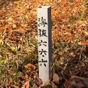 丸山登頂66.6m
(YAMAP62m)