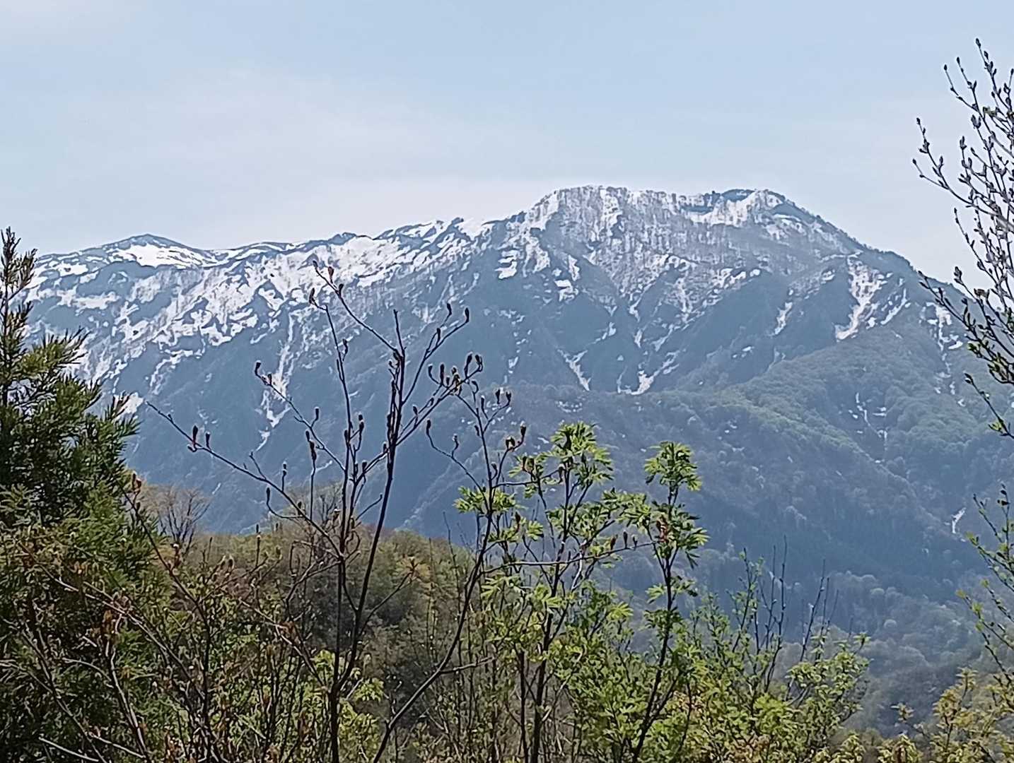 金城山　と巻機山