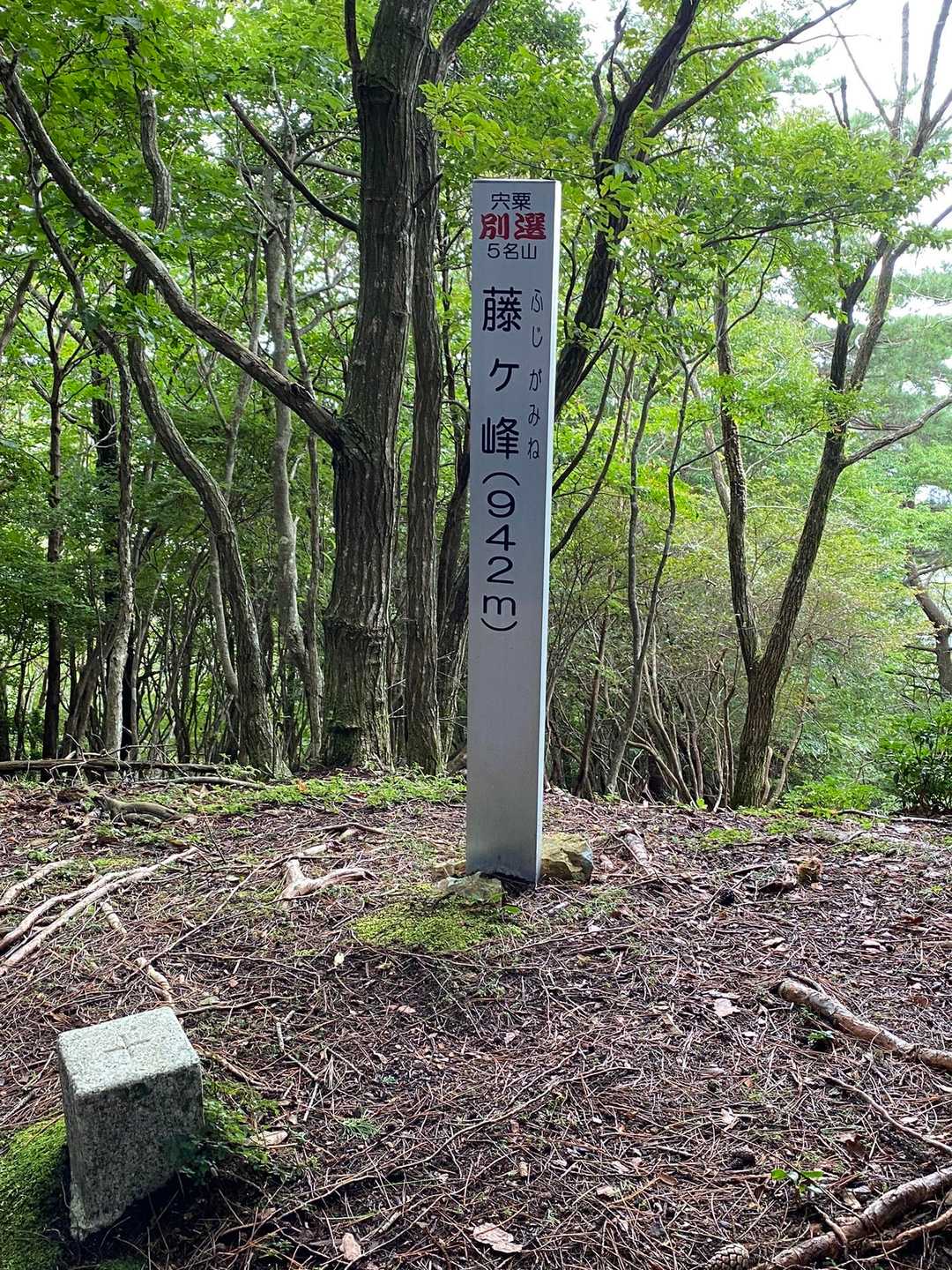 山頂到着
小雨が降り出したので、すぐに下山することにします。