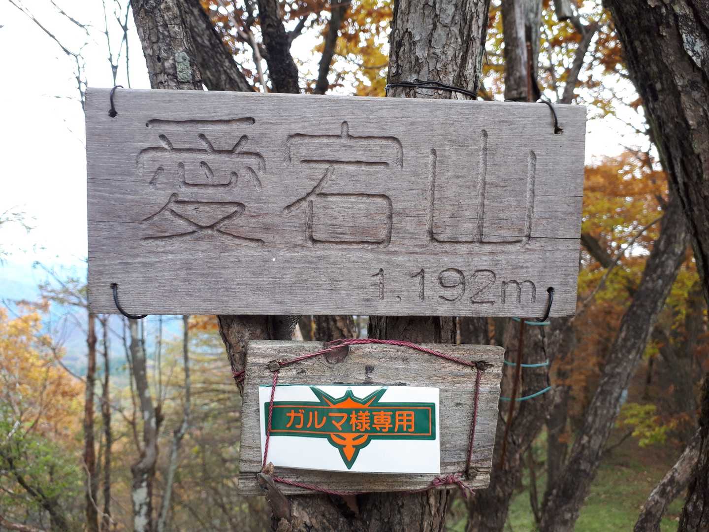 愛宕山（群馬県安中市）（群馬・1192m）| 登山ルート・天気 | YAMAP