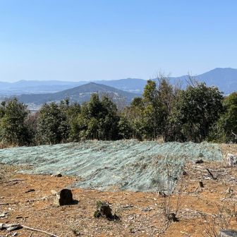 金山山頂からの展望