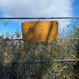 鎌倉最高峰太平山