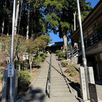 また階段😂ここは左側通行で🚶