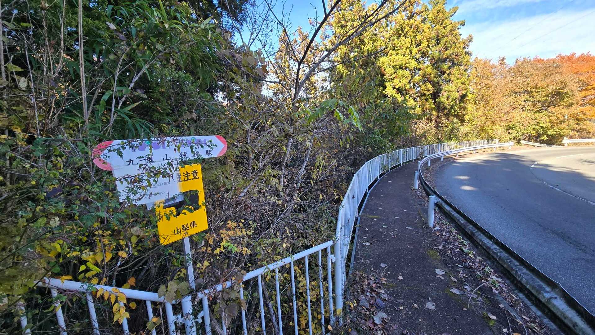 一般道にでました