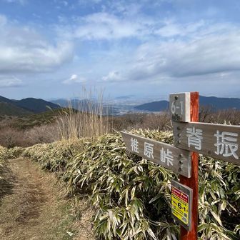 ここからの眺望が見たくて久々に来た。悪天候予報なのに稜線上は青空