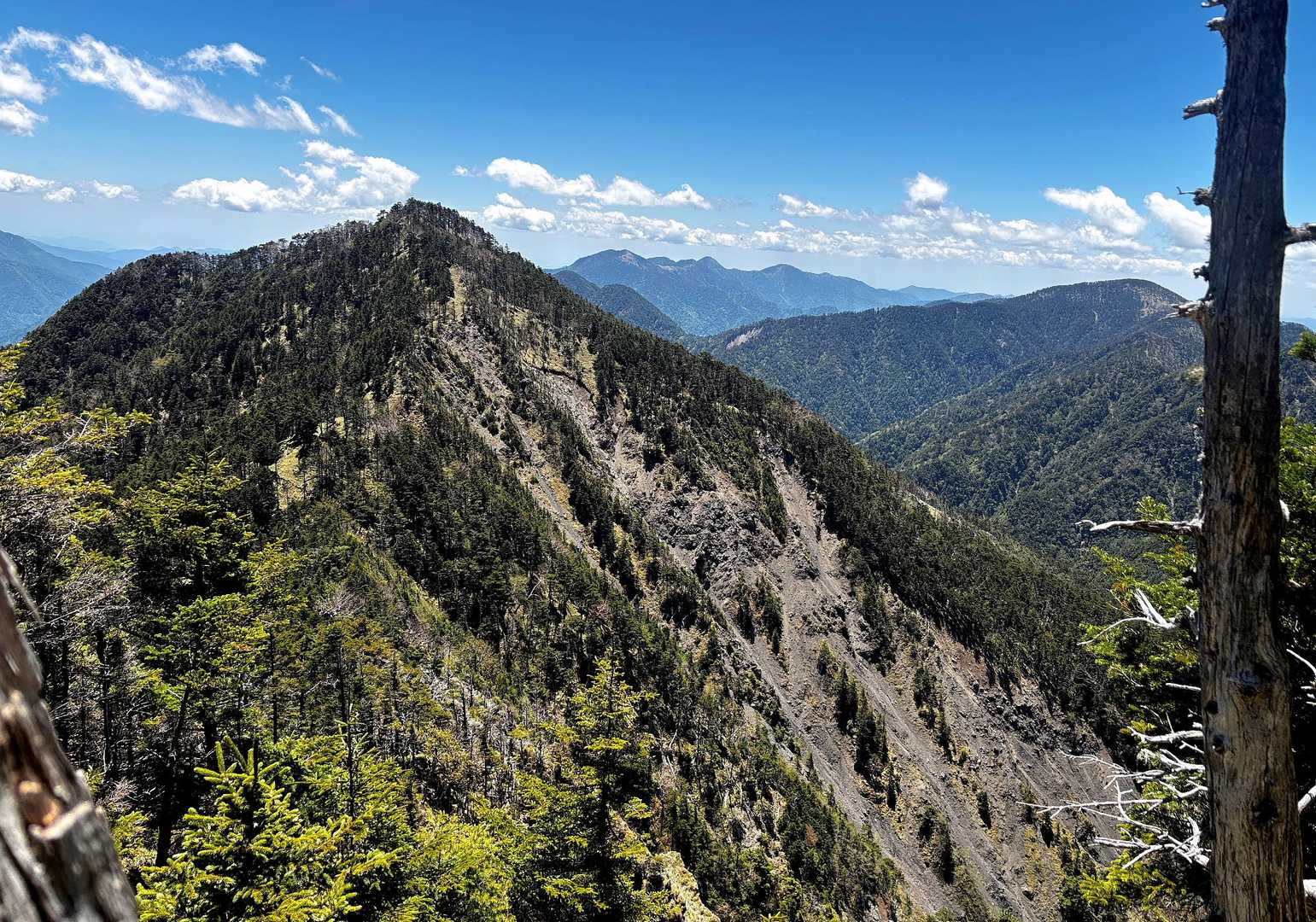 池口岳登山口-黒薙-利検沢ノ頭-池口岳 往復コースの写真