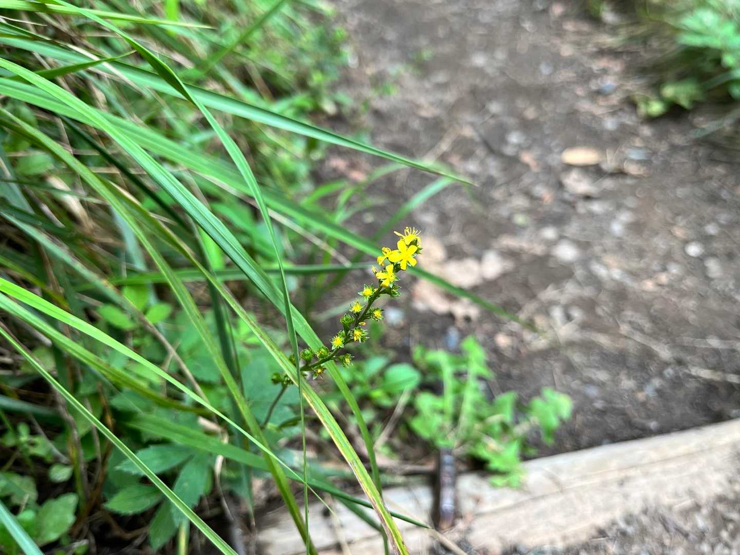 かわいい子発見💛
無事に下山しました