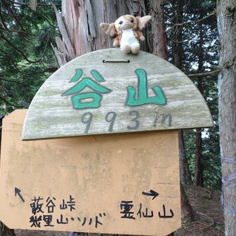 谷山登頂

この谷山は以前霊仙山に登った時に来たので眺望無いのは知ってましたが、一応来ました

霊仙山からこの谷山まで来てしまった人は、もう少し歩くと先に眺望ありますので、ここでUターンせずにあと少しだけ進んでみてください😊