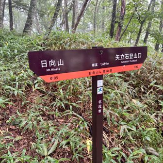 新しい看板🪧