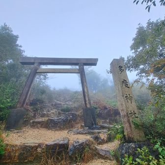 なぜ？多度神社？😆
多度山見えるんですか？
多度山に向かって立ってるんですか？

※調べてみました。
 三重県の多度大社とのつながり
各務原権現山の多度神社は、多度の神様を遠くから拝む場所（遥拝所）と紹介されている資料もあるんだそうです。

誰が祀ったかまでは分かっていないそうです。

