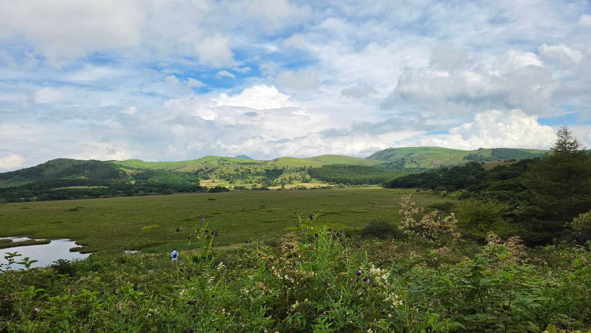 八島湿原バス停-八島湿原入口-霧ヶ峰湿原植物群落-男女倉山 周回コースの写真