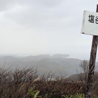 まあまあ降ってます