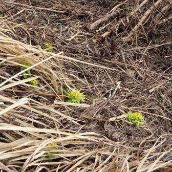 お～～～！✨️
雪の中から出たばかり？