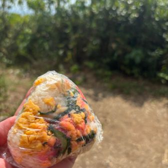 ちらし寿司のおにぎり
サッパリしてて食べやすかった