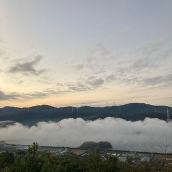 柳山と川内川あらし🐉
雲海が川の上流（左）から下流（右）へ
もくもくと流れていく☁️☁️☁️