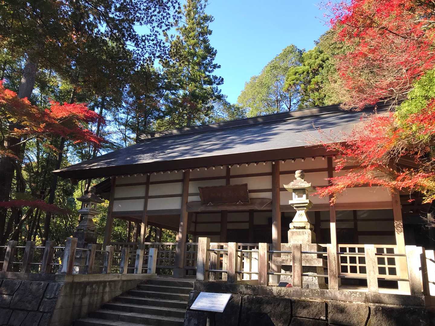 🍁綺麗
