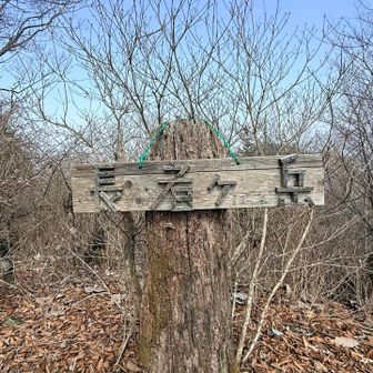 ここからロスト。
なんなら本日2回目のロスト💦
普通に下山ルート行っちゃった。