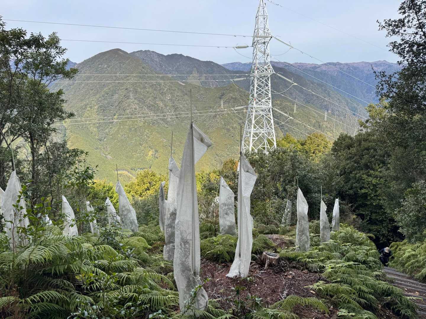 便石山 往復コースの写真