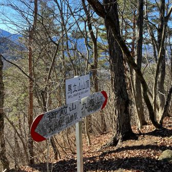馬立山。山頂直下は急斜面。登るのはいいのですが、下りはやや難儀。
ここからピストンで、菊花山への分岐部まで戻ります。
