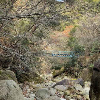 川音がして いかにも渓谷🏞️