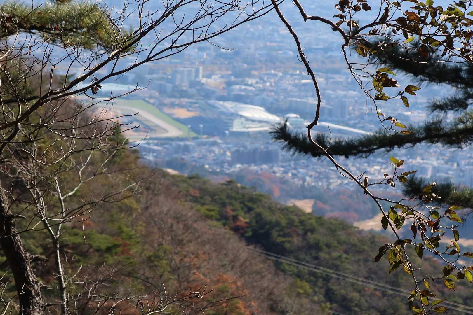 阪神競馬場見えてました。ピントは手前の枝になってるので、ボケてます。