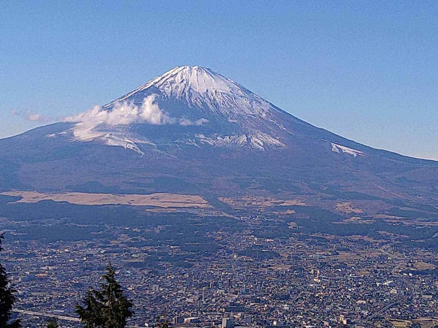 公時神社登山口-金時山-長尾山-乙女峠-姥ヶ茶屋 縦走コースの写真