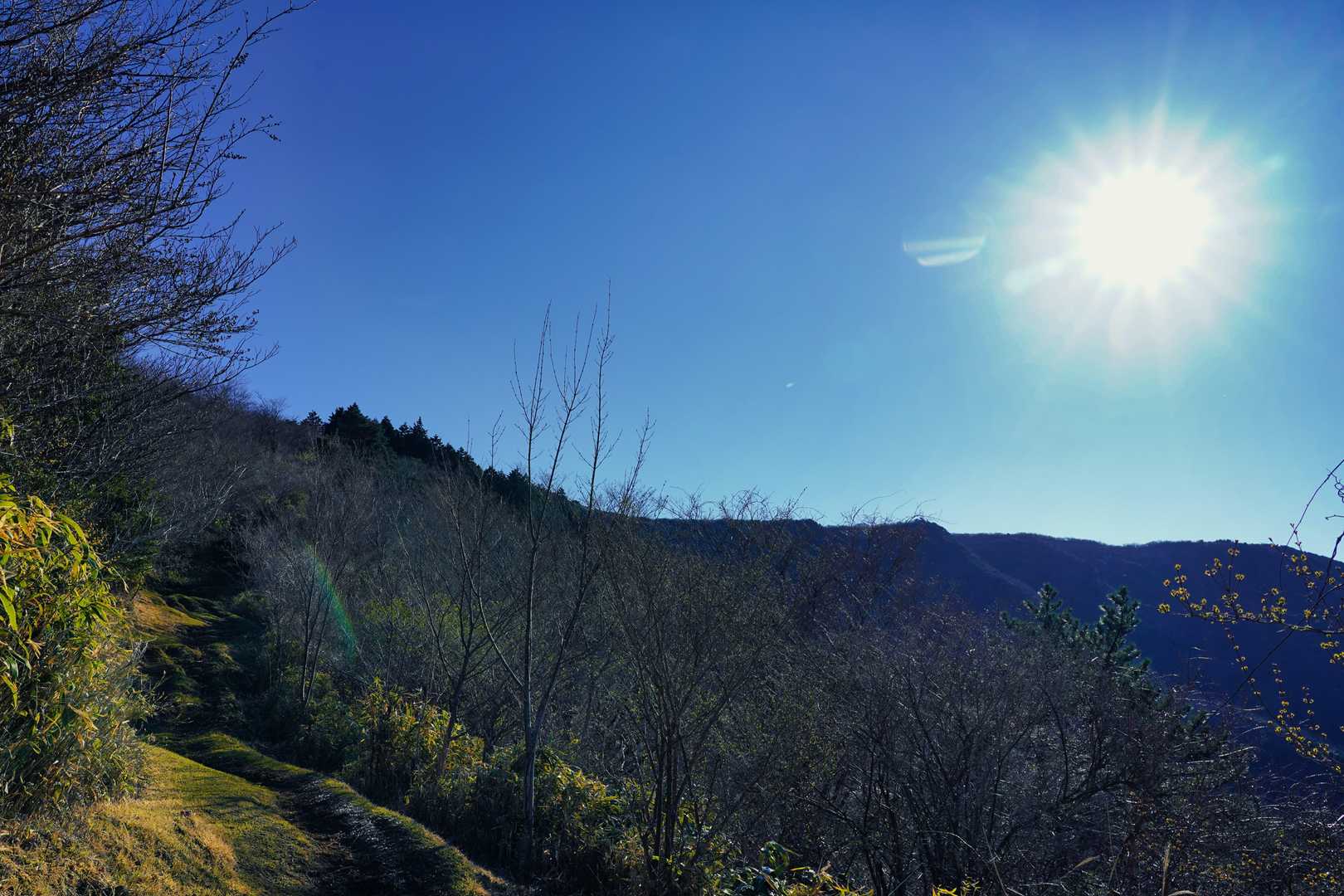 矢倉沢峠-明神ヶ岳 往復コースの写真