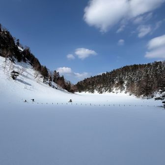 弥陀ヶ池
ドボンしたら怖いので遠目で拝見します