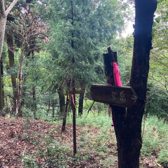 山ルートから矢筈岳、女岳分岐点到着
左に曲がり矢筈岳へ
