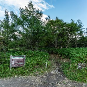 無事下山です