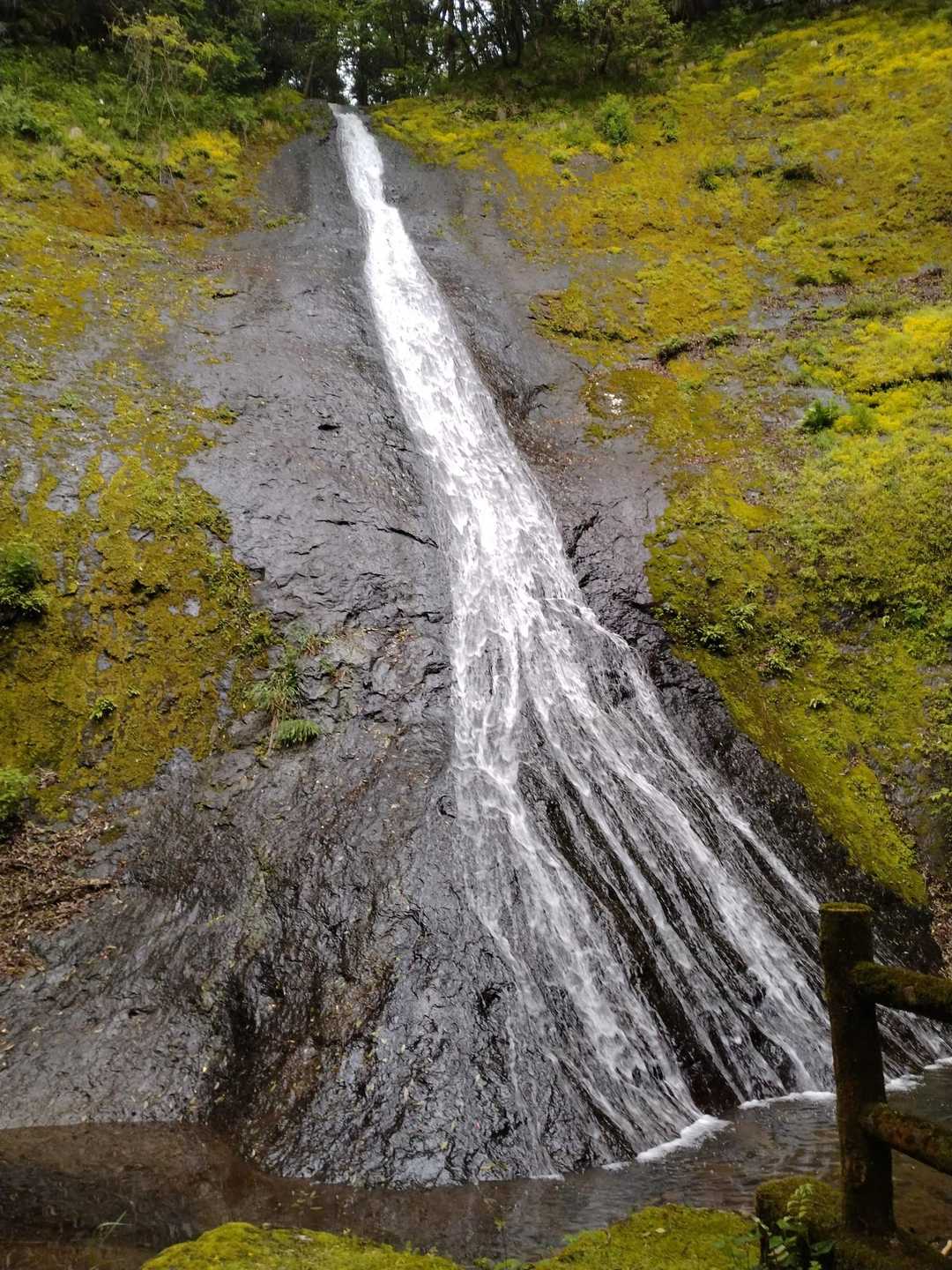 権現山 往復コースの写真
