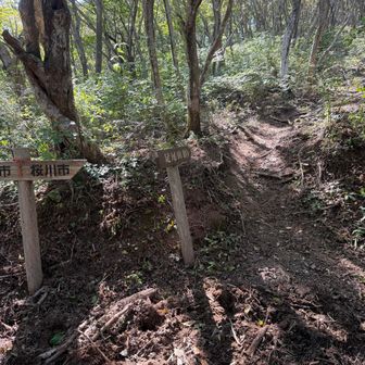 一旦舗装路に出ます。
この辺、石岡市と桜川市との境界のようで、この看板があちこちにありました。