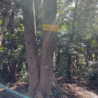 3座目金山北岳
眺望なし