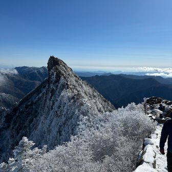 白天狗、とは言わずとも石鎚ブルー🩵