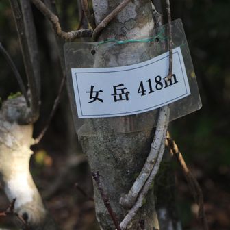 振り向いたら女岳