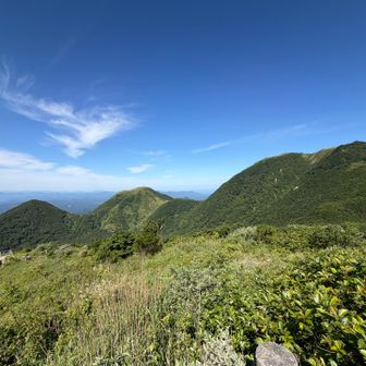左から孫、子、男♪