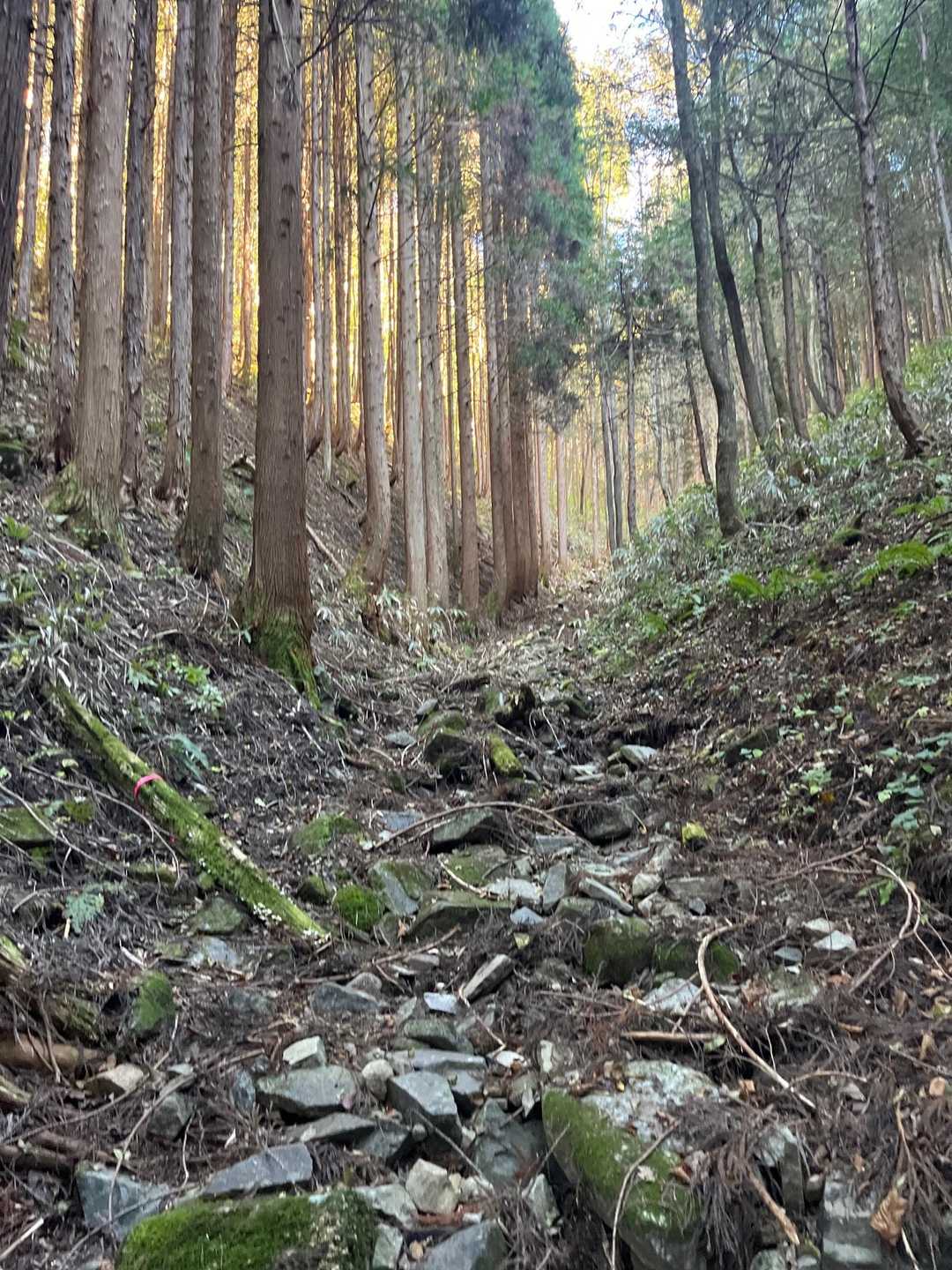 枯沢を登る
浮石に注意