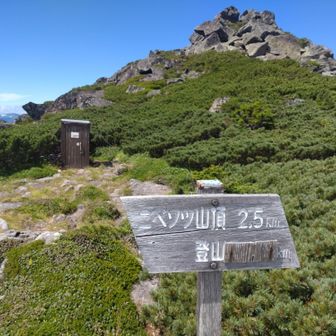 いつかこの辺りにテント泊してみたいなー。真っ赤に燃えるニペソツ山を見てみたいものです。