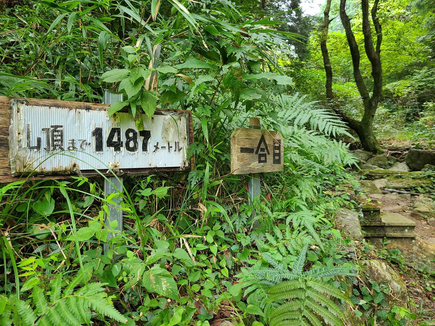 関の山登山口-関の山-大山 周回コースの写真