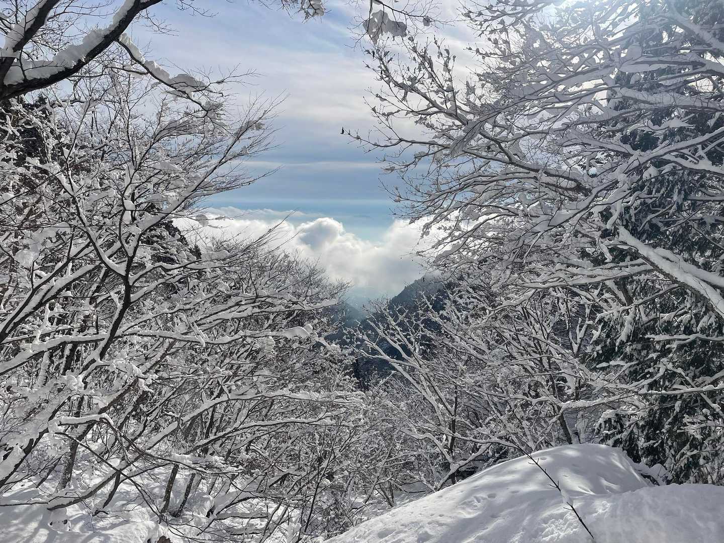 金糞峠-コヤマノ岳-武奈ヶ岳 往復コースの写真