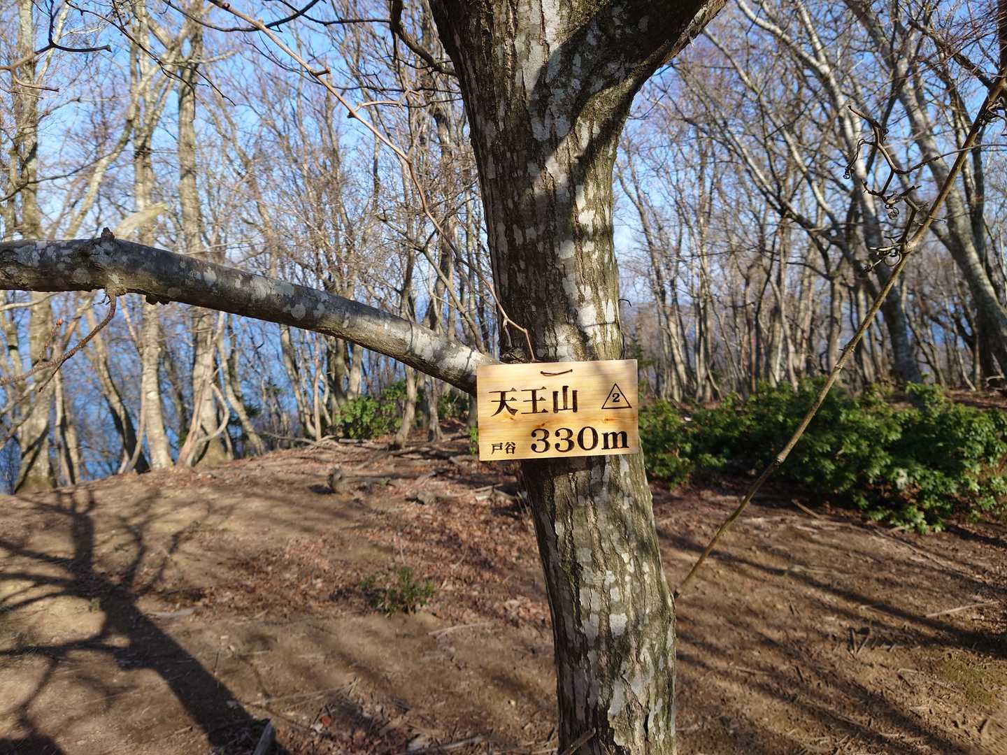 天王山（二等三角点）戸谷