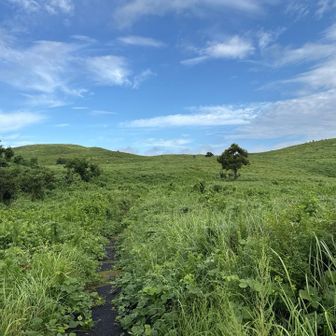 最初に北山へ向かう。
山頂までのルートはアスファルト舗装されているので傾斜を除けば割と楽に登れる。