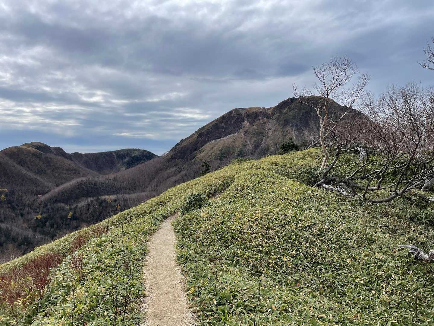 五色山を過ぎると一面笹🌿