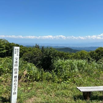 山頂
あと遊歩道から周回して帰るルート
まだ
下りは筋力使ってないから
違和感ある