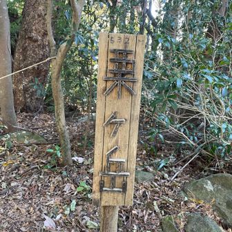 1か月ぶりかなぁー