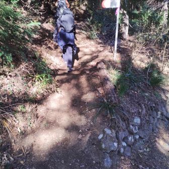 井戸バス停からの登山口