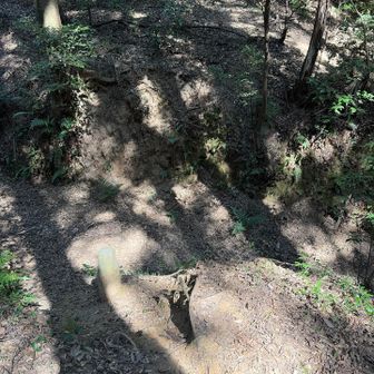 分岐点　正面に進み
帰りは、左から来る