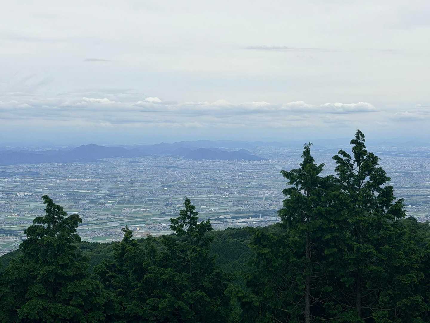 教養の森入口-池田山 往復コースの写真