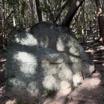 迎岩（これより鎖場、ロープ場急登となる）

